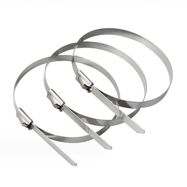 304 Self-locking type Stainless steel cable ties